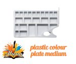 Plastic Color Plate Medium Rectangle Shape – Ahona Corporation